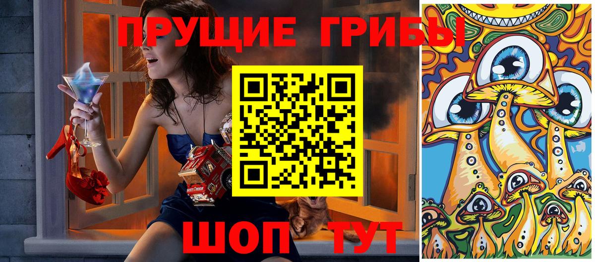 Верхняя Пышма  Галлюциногенные грибы Psilocybe  Вход с VPN 