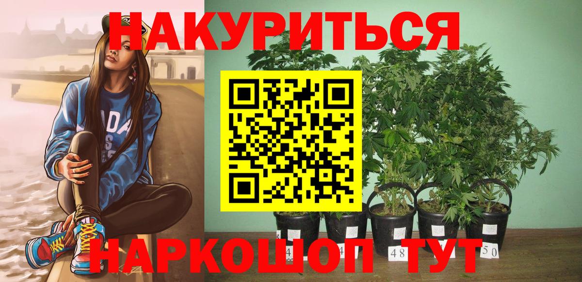 Марихуана Bruce Banner Верхняя Пышма